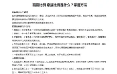 画画的比例关系