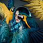 Ara art beauty parrot people Photography  portrait studio surreal woman