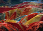 18.这是一个独特的，称为丹霞地貌的地质现象。在中国有好几个地方可以观察到这些现象。这个照片拍摄于甘肃省的张掖。土壤的颜色是数百万年的红色砂岩和其他岩石积累的结果。