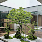 仿真植物造景 - 小红书