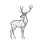 A deer lineart with big horn vector illustration isolated on a transparent background