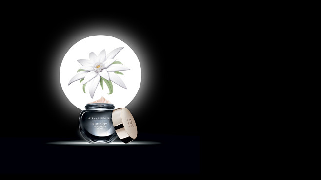 hr–moduleskitprodigyreversisnight