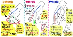 板绘插画教程的照片 - 微相册