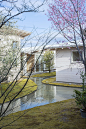 AWAZUKU住宅，日本 / Studio Velocity : 四座流水小屋