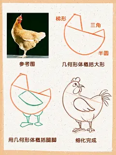 图源小红书 @橘子插画