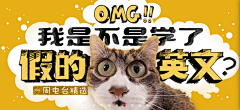 猫的少女心采集到banner