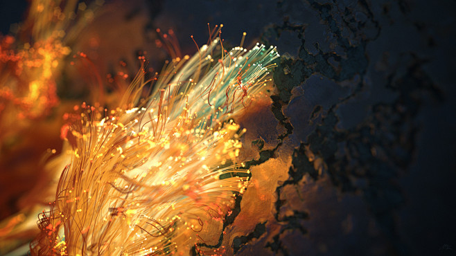 X-Particles & Cycles...