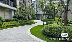 Bonniewucui采集到待归类采集