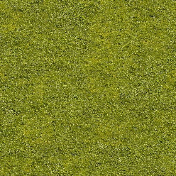 Textures.com - Grass...