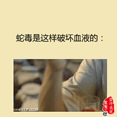 MUSHRO采集到那些我不知道的事情