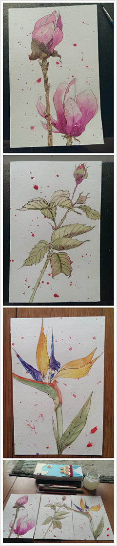 花开自在ヽ采集到插画#治愈系#