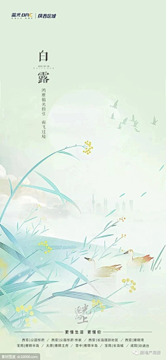 Yu--Jin采集到节日