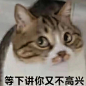 表情包