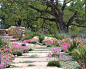 This is an example of a mid-sized contemporary partial sun backyard stone landscaping in San Francisco.