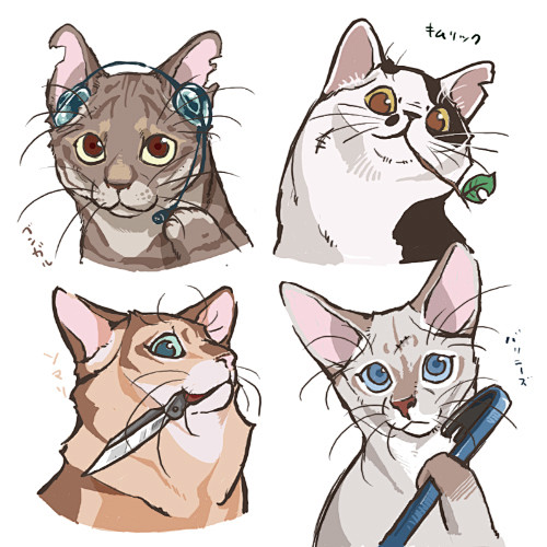 猫マフィアその１