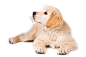 3f46cee254d206b09f0b1dfe0a3775ce48368bdff086-jyNSEC_fw1200