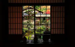 红叶庭院之美：京都圆光寺的秋色壁纸1920x1200第27张1920*1200桌面
