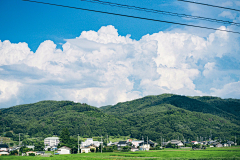 鸣门赤豆冰采集到灵感