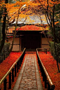 日本秋、红叶狩，日本各地赏红叶最佳观赏时期！