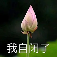 哈哈哈哈哈哈哈哈这是什么沙雕表情包啊 ​​​​