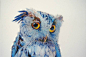 #素材推荐# 运用铅笔，炭笔及粉彩设计描绘出精美逼真的彩色猫头鹰 | 来自艺术家 John Pusateri