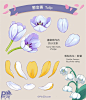如何画出好看的花瓣？ - 优优教程网 - 自学就上优优网 - UiiiUiii.com : 你是不是经常画不出想要的效果？是不是每画一笔都要经历无数次的撤回？今天给大家分享下如何画出好看的花卉，教程一目了然，赶紧跟着教程马起来吧~
