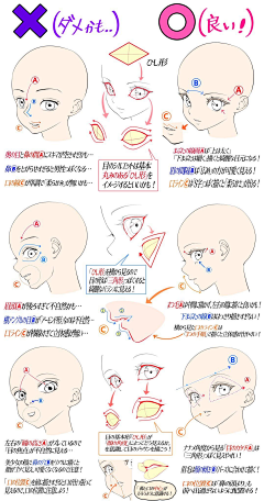 人体·面部五官结构·脸-花瓣网|陪你做生活的设计师 | 嘴唇