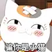 small叮当