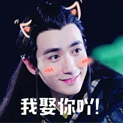 始于颜值，敬于演技，终于表情包。
