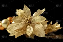金色,玉兰类,圣诞装饰,分离着色,黑色背景,贺卡,灵感,水平画幅,无人