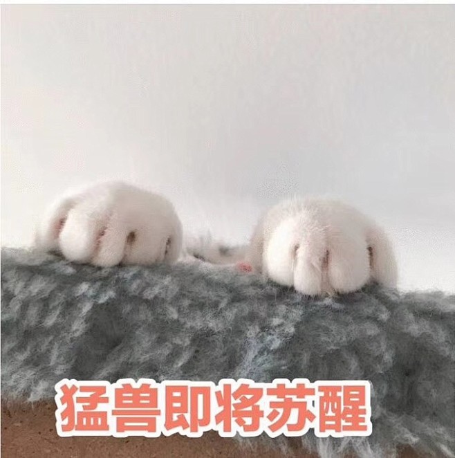 今天的表情包原图精选~
水逆是不是又来了...
