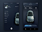 car remote by Keeev: 