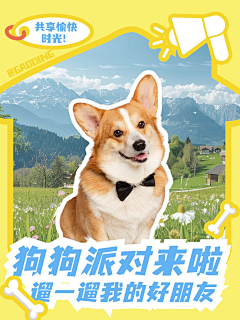 花瓣素材采集到营销海报