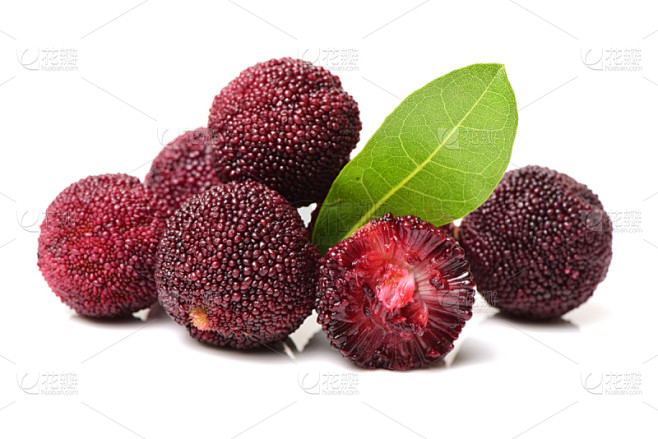 红色,杨梅,水平画幅,水果,夏天,熟的,清新,叶子,美味,madrona tree