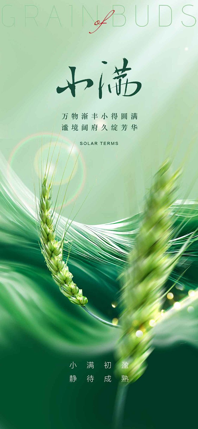 小满海报-源文件分享-ywjfx.cn