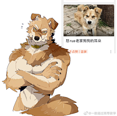 幽山祭月采集到福瑞
