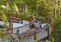 链接自然与城市的开放式“公园学校” – mooool木藕设计网