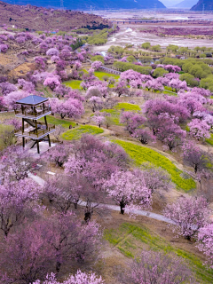 视客采集到地景