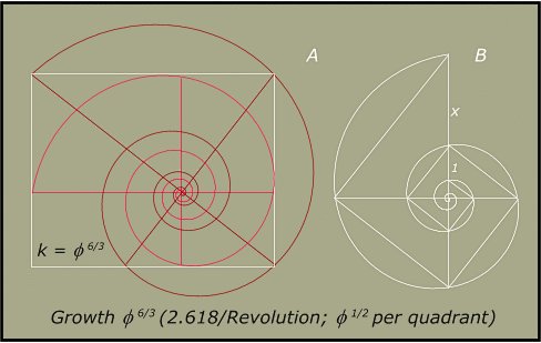 Fig. 15. The Rectangle with Inner and outer Spirals for Spira Solaris-花瓣网