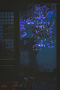 网师园｜“梦里有时身化鹤，人间无数草为萤。” - 小红书