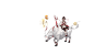 4306529904