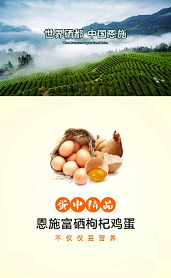 -不要关注我-采集到egg (富硒蛋 暂存)