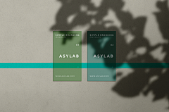 植物剪影名片印刷阴影装饰样机