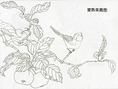 蝴蝶泉畔是我家采集到山水花鸟