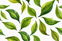 温馨手绘清新香如兰桂茶叶图片插画