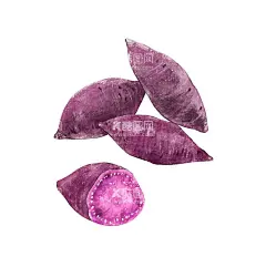 紫薯插画  - 源文件下载【酷图网】红薯,紫薯,番薯,薯片,手绘,地瓜,美食,蔬菜,新鲜,番薯叶,紫薯插画,紫薯粉条