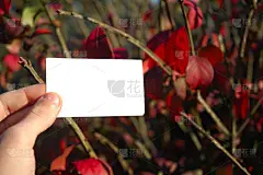 对着落叶的空白名片