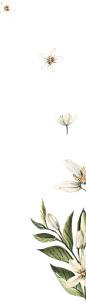 春季唯美水彩手绘鲜花植物花卉叶子请柬海报装饰免抠PNG图案素材 (16)