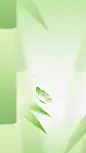 惊蛰策渐变扁平肌理竹子昆虫组合背景