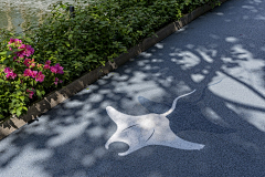 朝生采集到· Paving ︱道路 / 铺装
